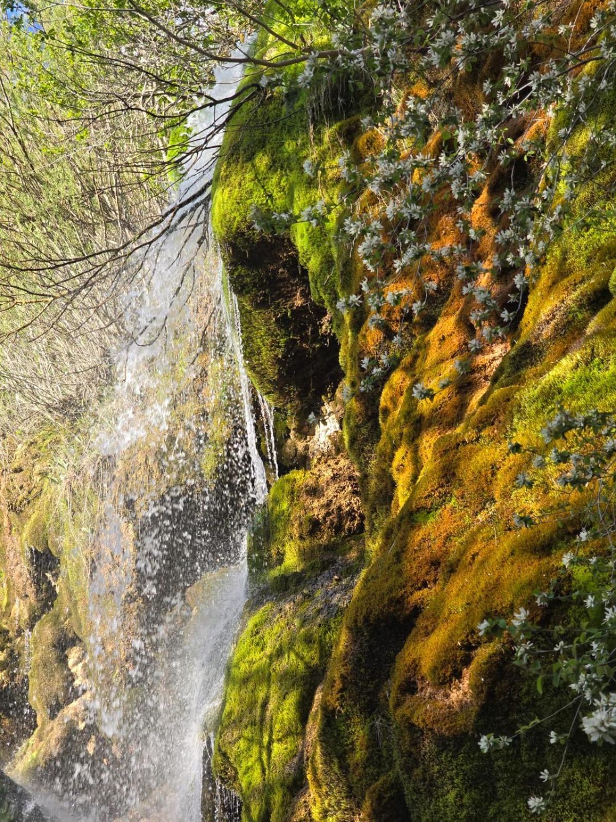Hostal Rural Alto Tajo Poveda Poveda de la Sierra Exteriér fotografie