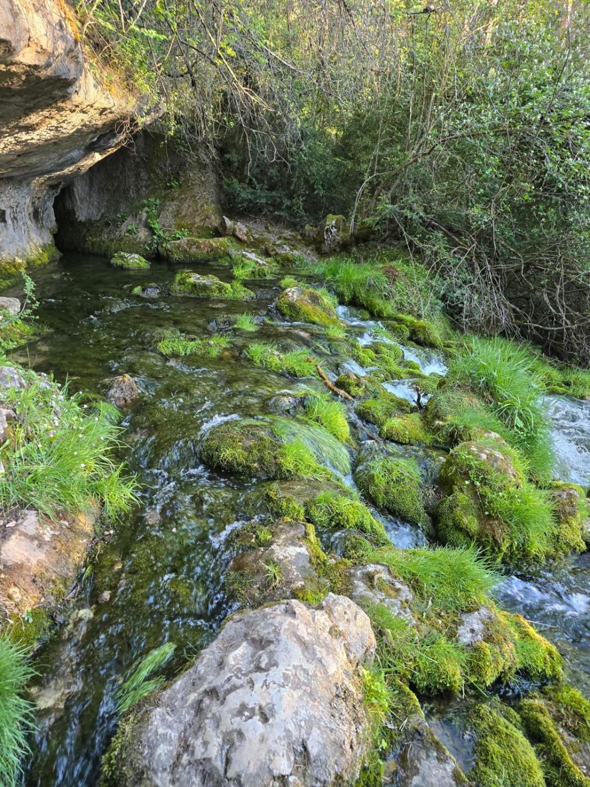 Hostal Rural Alto Tajo Poveda Poveda de la Sierra Exteriér fotografie
